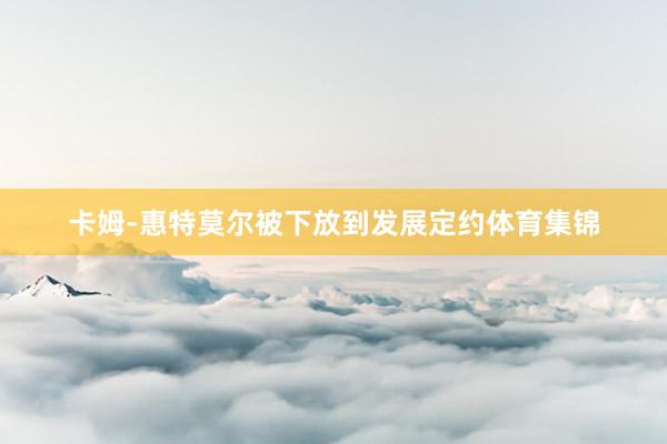 卡姆-惠特莫尔被下放到发展定约体育集锦