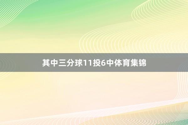 其中三分球11投6中体育集锦