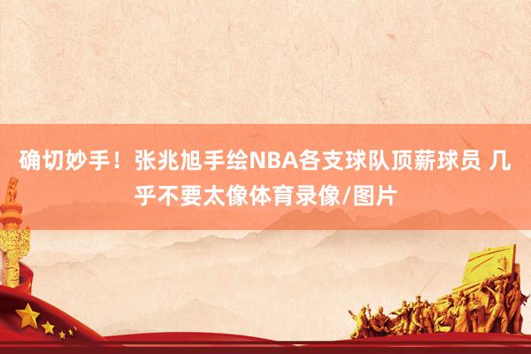 确切妙手！张兆旭手绘NBA各支球队顶薪球员 几乎不要太像体育录像/图片