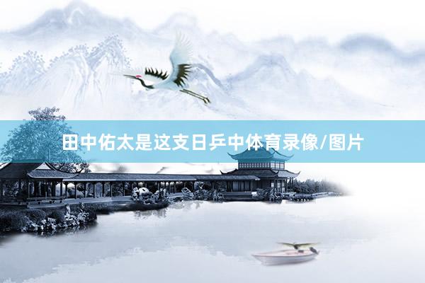 田中佑太是这支日乒中体育录像/图片