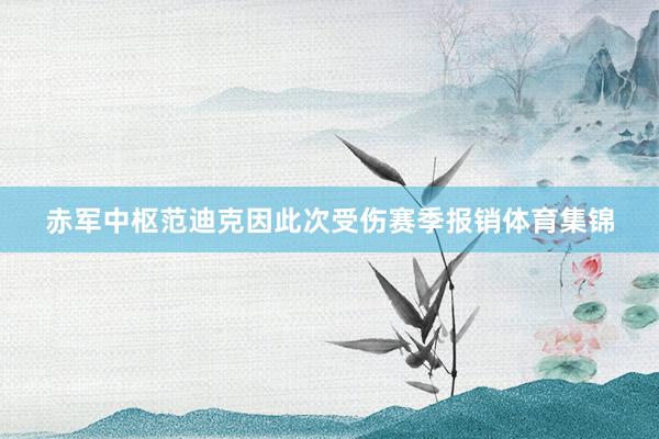 赤军中枢范迪克因此次受伤赛季报销体育集锦