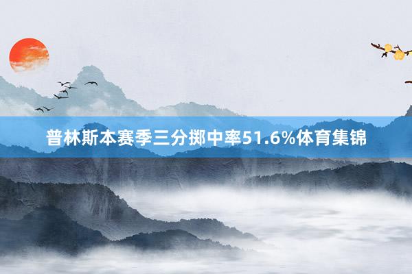 普林斯本赛季三分掷中率51.6%体育集锦