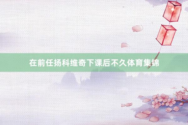 在前任扬科维奇下课后不久体育集锦