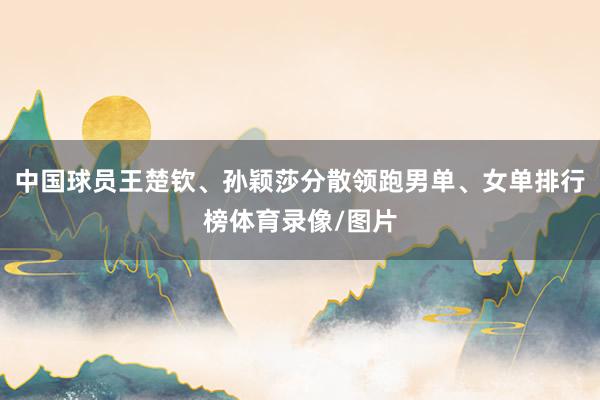 中国球员王楚钦、孙颖莎分散领跑男单、女单排行榜体育录像/图片