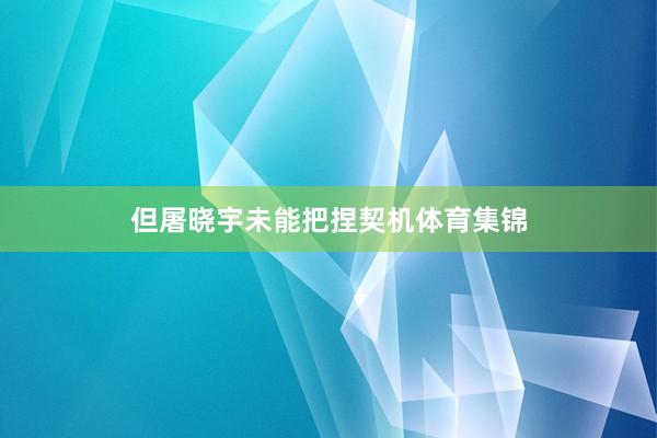 但屠晓宇未能把捏契机体育集锦