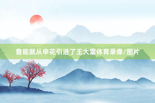 鲁能就从申花引进了王大雷体育录像/图片