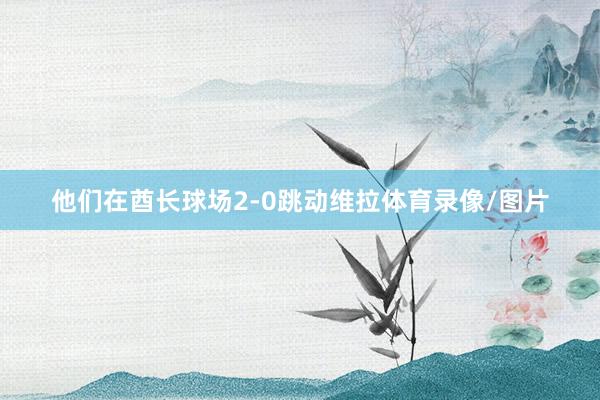 他们在酋长球场2-0跳动维拉体育录像/图片