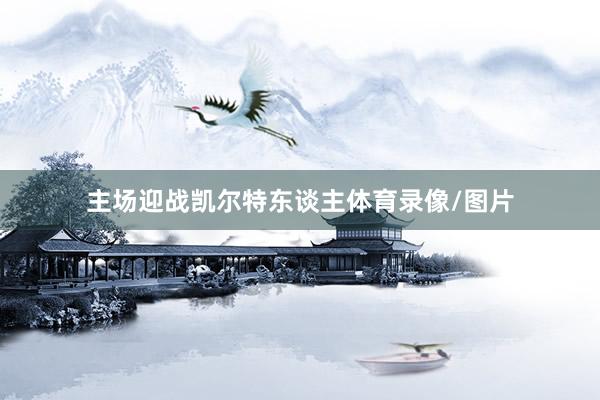 主场迎战凯尔特东谈主体育录像/图片