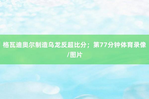格瓦迪奥尔制造乌龙反超比分；第77分钟体育录像/图片