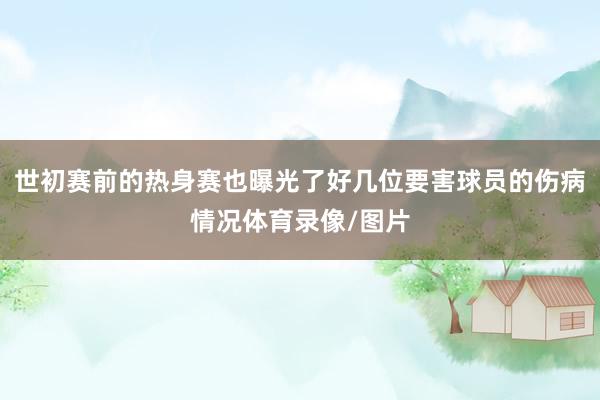 世初赛前的热身赛也曝光了好几位要害球员的伤病情况体育录像/图片