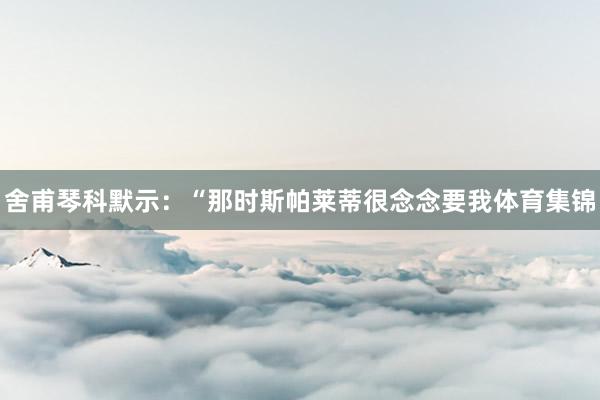 舍甫琴科默示：“那时斯帕莱蒂很念念要我体育集锦