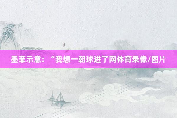 墨菲示意：“我想一朝球进了网体育录像/图片