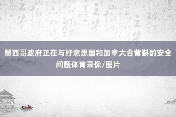 墨西哥政府正在与好意思国和加拿大合营斟酌安全问题体育录像/图片