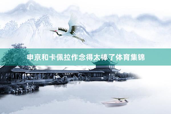 申京和卡佩拉作念得太棒了体育集锦