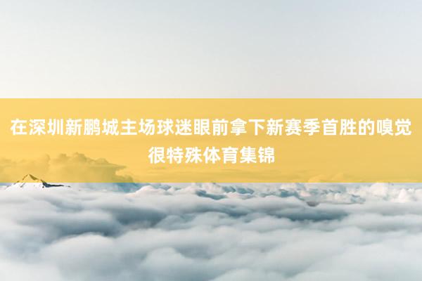 在深圳新鹏城主场球迷眼前拿下新赛季首胜的嗅觉很特殊体育集锦