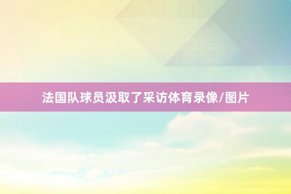 法国队球员汲取了采访体育录像/图片
