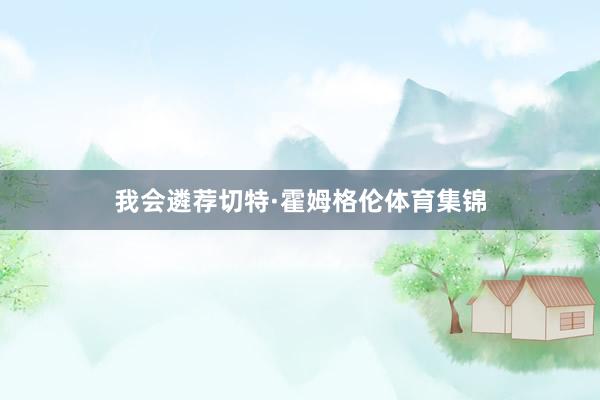 我会遴荐切特·霍姆格伦体育集锦