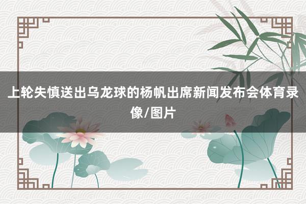 上轮失慎送出乌龙球的杨帆出席新闻发布会体育录像/图片