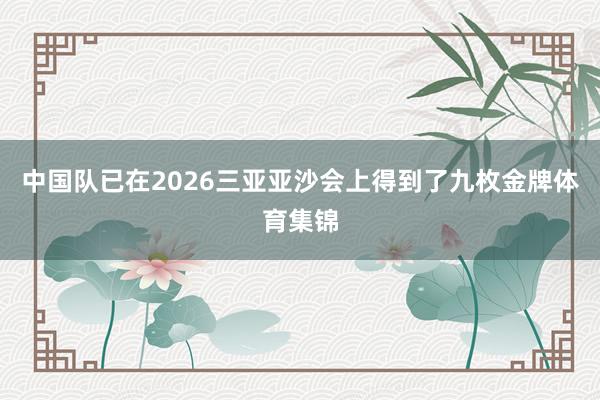 中国队已在2026三亚亚沙会上得到了九枚金牌体育集锦