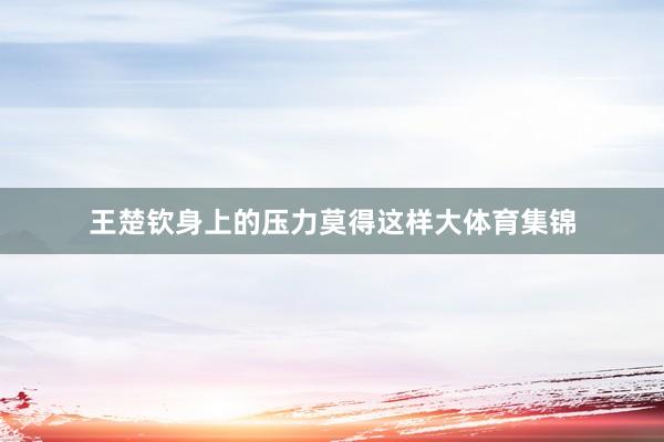 王楚钦身上的压力莫得这样大体育集锦