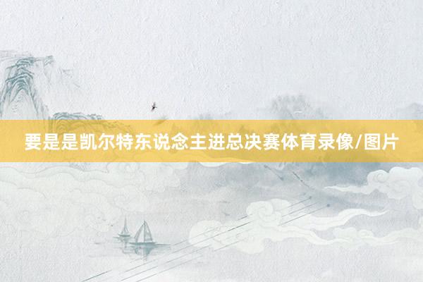 要是是凯尔特东说念主进总决赛体育录像/图片