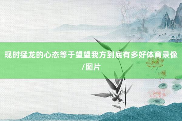 现时猛龙的心态等于望望我方到底有多好体育录像/图片