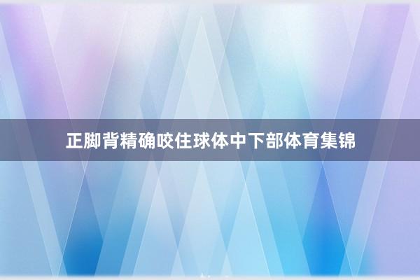 正脚背精确咬住球体中下部体育集锦