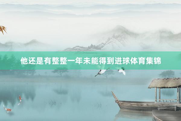 他还是有整整一年未能得到进球体育集锦