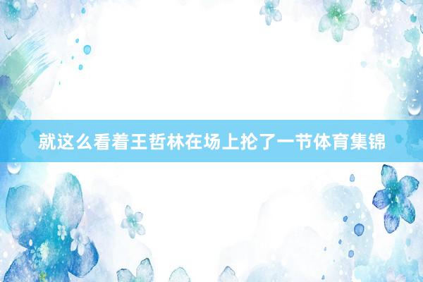 就这么看着王哲林在场上抡了一节体育集锦