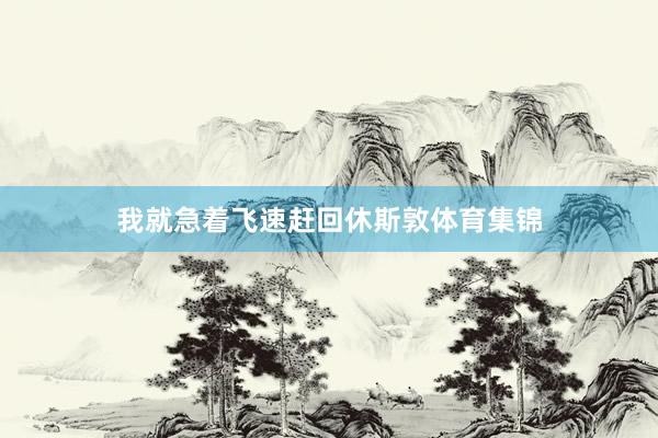 我就急着飞速赶回休斯敦体育集锦